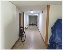  2024Ÿ111901 泲  ߾ӷ 46, 2209ȣ (굿,Ǿ)     ǽڰ