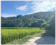  2024Ÿ113204  ϱ  183       (Ӿ)