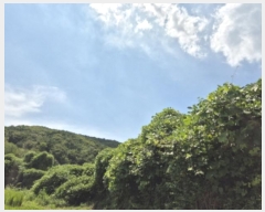  2024Ÿ113204  ϱ  183       (Ӿ)