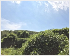  2024Ÿ113204  ϱ  183       (Ӿ)