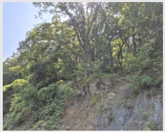  2024Ÿ113204  ϱ  183       (Ӿ)