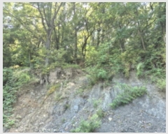  2024Ÿ113204  ϱ  183       (Ӿ)