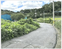  2024Ÿ��114726 �泲 ���� �Ϻϸ� ��ϸ� 798      ������