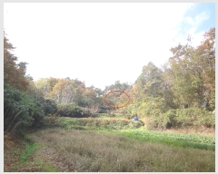  2024Ÿ118179  ϱ 浿 33-22       (Ӿ)