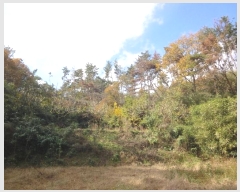  2024Ÿ118179  ϱ 浿 33-22       (Ӿ)