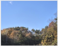  2024Ÿ118179  ϱ 浿 33-22       (Ӿ)