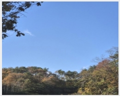  2024Ÿ118179  ϱ 浿 33-22       (Ӿ)