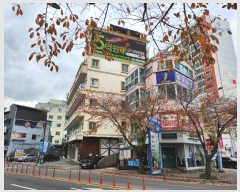  2024Ÿ��118834  �ٸ��ü����