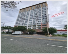  2024Ÿ119325 泲  ߾ӷ 46, 7705ȣ (굿,Ǿ)     Ʈ