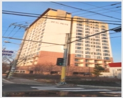  2024Ÿ119325 泲  ߾ӷ 46, 7705ȣ (굿,Ǿ)     Ʈ