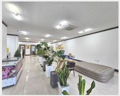  2024Ÿ��1134  �ٸ��ü����