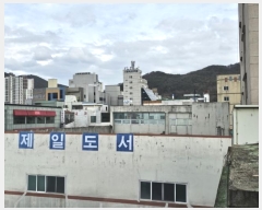  2024Ÿ��1134  �ٸ��ü����