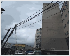  2024Ÿ5419  ߱ ݱ 265-10       