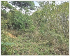  2024Ÿ��8159 ��� ���ֱ� ����� ������ ��13-3      ����(�Ӿ�)���