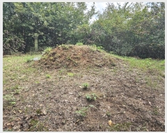  2024Ÿ��8159 ��� ���ֱ� ����� ������ ��13-3      ����(�Ӿ�)���