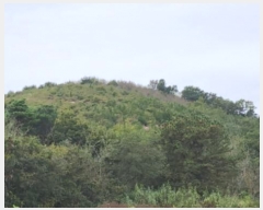  2024Ÿ��8159 ��� ���ֱ� ����� ������ ��13-3      ����(�Ӿ�)���