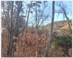  2024Ÿ9459  ֱ ¾ ﱤ 989      (1)