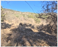  2024Ÿ9459  ֱ ¾ ﱤ 989      (1)