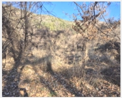  2024Ÿ9459  ֱ ¾ ﱤ 989      (1)