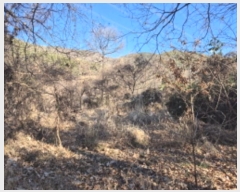  2024Ÿ9459  ֱ ¾ ﱤ 989      (1)