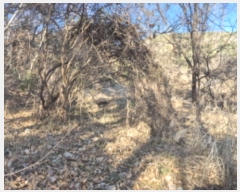  2024Ÿ9459  ֱ ¾ ﱤ 989      (1)