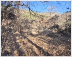  2024Ÿ9459  ֱ ¾ ﱤ 989      (1)