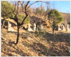  2024Ÿ9480 泲  ϸ  799-1      (Ӿ)