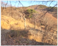  2024Ÿ9480 泲  ϸ  799-1      (Ӿ)