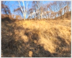  2024Ÿ9480 泲  ϸ  799-1      (Ӿ)