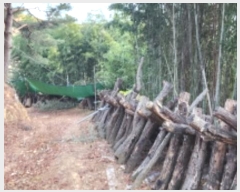  2024Ÿ9480 泲  ϸ  799-1      (Ӿ)