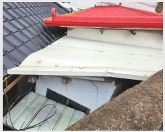  2024Ÿ101621 泲   ⸮ 934-1      ()