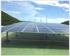  2024Ÿ��110304 ��� ���ֱ� �ﵿ�� �ݰ 386-2      ������