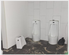  2024Ÿ115415  ٸ󰡰