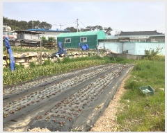  2024Ÿ3314  ֱ  ۸ 83-1      ()