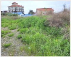  2024Ÿ3314  ֱ  ۸ 83-1      ()