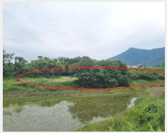  2024Ÿ4393  ֱ ﳲ õ 324      ()