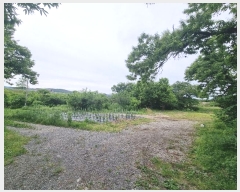  2024Ÿ4393  ֱ ﳲ õ 324      ()