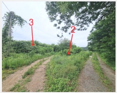  2024Ÿ4393  ֱ ﳲ õ 324      ()