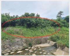  2024Ÿ4393  ֱ ﳲ õ 324      ()