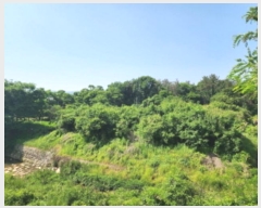  2024Ÿ4393  ֱ ﳲ õ 324      ()