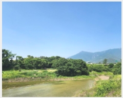  2024Ÿ4393  ֱ ﳲ õ 324      ()