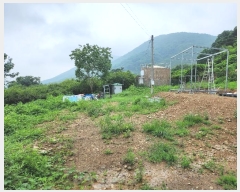  2024Ÿ��5655  �����