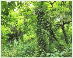  2024Ÿ��5655  �����