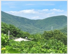  2024Ÿ��5655  �����