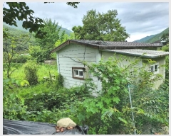  2024Ÿ��6559 �泲 ���� ������ �븮 399      ����(����)���