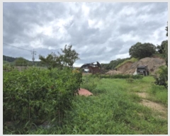  2024Ÿ��6733  ����