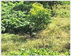  2024Ÿ��7064  ����