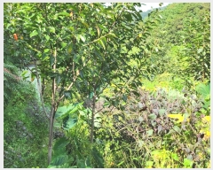  2024Ÿ��7064  ����