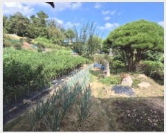  2024Ÿ��7187  �����