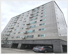  2024Ÿ��8227  ����Ʈ���